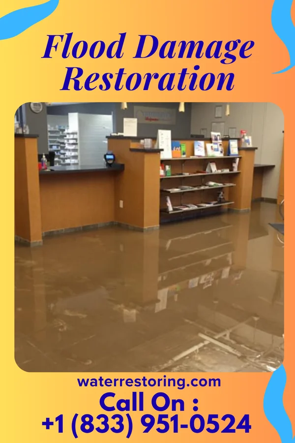 Flood Damage Restoration in La Motte, IA