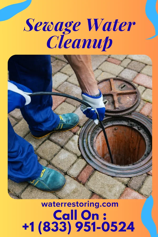 Sewage Water Cleanup in La Motte, IA